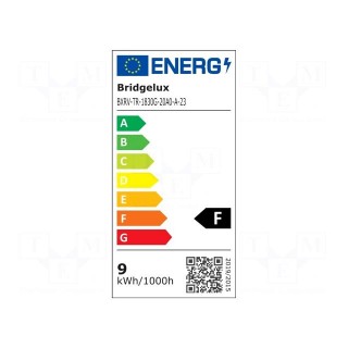 Power LED | COB,bicolour | white warm | 500mA | P: 17.6/18.2W