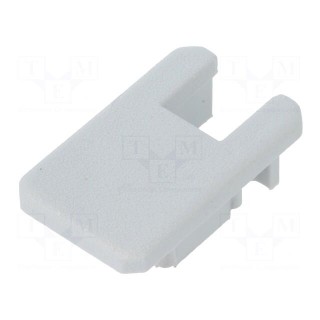 Cap for LED profiles | grey | 2pcs | ABS | with keyway | MIKRO-LINE12