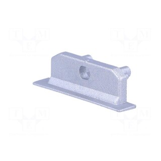 Cap for LED profiles | silver | 2pcs | ABS | GEN2,with hole | GROOVE14