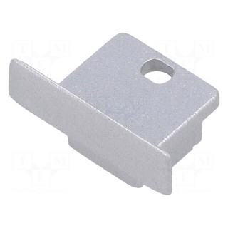 Cap for LED profiles | silver | 2pcs | ABS | with hole | SMART-IN10