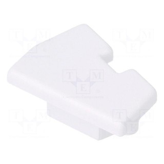 Cap for LED profiles | white | 2pcs | ABS | GEN2,with hole | EDGE10