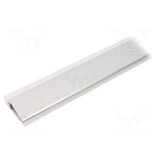 Profiles for LED modules | white | natural | L: 2m | WALLE12 | surface