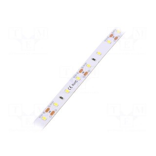 LED tape | white | 2835 | 12V | LED/m: 60 | 10mm | IP33 | 120° | 12W/m