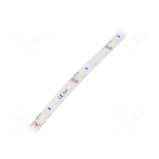 LED tape | white | 2835 | 12V | LED/m: 60 | 8mm | IP64 | 120° | 6W/m
