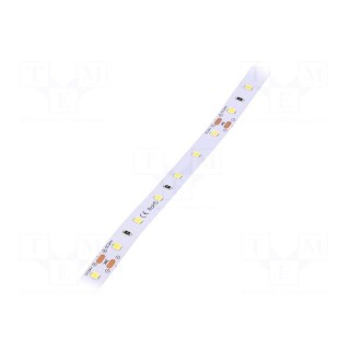 LED tape | white | 2835 | 24V | LED/m: 60 | 10mm | IP33 | 120° | 12W/m