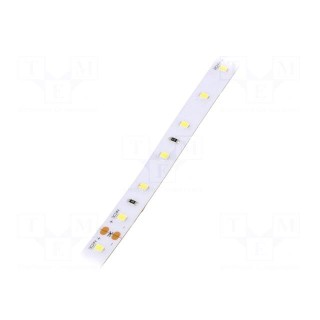 LED tape | white | 2835 | 24V | LED/m: 60 | 10mm | IP64 | 120° | 12W/m