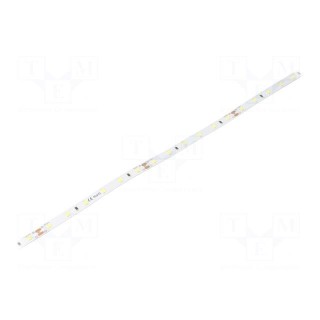 LED tape | white | 2835 | 24V | LED/m: 60 | 8mm | IP33 | 120° | 6W/m