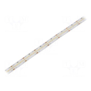 LED tape | white cold | 2216 | 24V | LED/m: 280 | 10mm | white PCB | IP20
