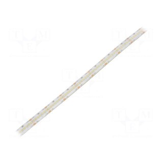 LED tape | white cold | 2216 | 24V | LED/m: 280 | 10mm | white PCB | IP65