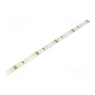LED tape | white cold | 2835 | 12V | LED/m: 60 | W: 10mm | 120° | 14.4W/m