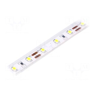 LED tape | white cold | 2835 | 12V | LED/m: 60 | 10mm | IP65 | 120° | 12W/m
