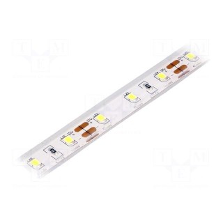 LED tape | white cold | 2835 | 12V | LED/m: 60 | W: 10mm | 120° | IP68 | 4W/m