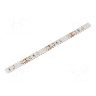 LED tape | white cold | 2835 | 12V | LED/m: 60 | 10mm | IP65 | 12W/m