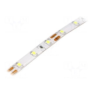 LED tape | white cold | 2835 | 12V | LED/m: 60 | 8mm | IP54 | 120° | 12W/m