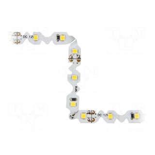 LED tape | white cold | 2835 | 12V | LED/m: 60 | 8mm | white PCB | IP20