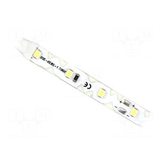 LED tape | white cold | 2835 | 12V | LED/m: 60 | 8mm | white PCB | IP20