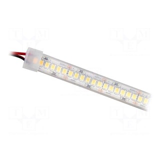 LED tape | white cold | 2835 | 24V | LED/m: 120 | 10mm | white PCB | IP65