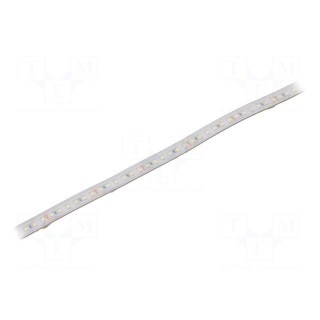 LED tape | white cold | 2835 | 24V | LED/m: 120 | 10mm | white PCB | IP65