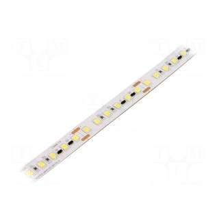 LED tape | white cold | 2835 | 24V | LED/m: 120 | 12mm | white PCB | IP20