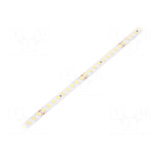 LED tape | white cold | 2835 | 24V | LED/m: 144 | 8mm | white PCB | IP20