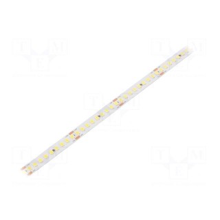 LED tape | white cold | 2835 | 24V | LED/m: 180 | 10mm | white PCB | IP20