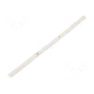 LED tape | white cold | 2835 | 24V | LED/m: 72 | 8mm | white PCB | IP20