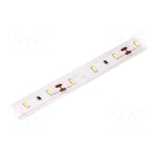 LED tape | white cold | 3014 | 12V | LED/m: 60 | 10mm | 120° | IP65 | 6W/m