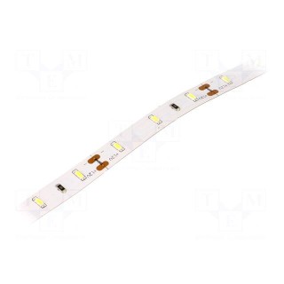 LED tape | white cold | 3014 | 12V | LED/m: 60 | 8mm | IP20 | 120° | 6W/m