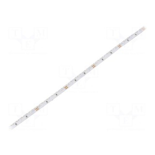LED tape | white cold | 3014 | 24V | LED/m: 120 | 6mm | IP20 | 7.6W/m
