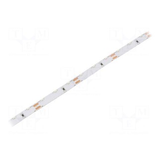 LED tape | white cold | 315 | 12V | LED/m: 60 | 8mm | IP20 | 4.8W/m | angular
