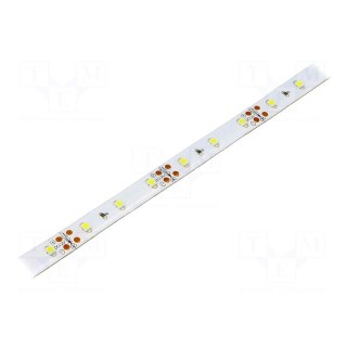 LED tape | white cold | 3528 | 12V | LED/m: 60 | 10mm | brown PCB | 120°