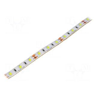 LED tape | white cold | 3528 | 12V | LED/m: 60 | 10mm | white PCB | IP67