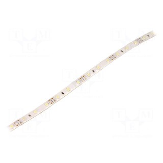 LED tape | white cold | 3528 | 12V | LED/m: 60 | W: 10mm | 120° | IP67