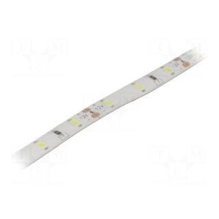 LED tape | white cold | 3528 | 12V | LED/m: 60 | W: 8mm | 120° | 4.8W/m