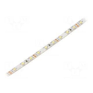 LED tape | white cold | 3528 | 12V | LED/m: 60 | 8mm | white PCB | IP20