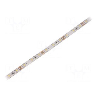LED tape | white cold | 3528 | 12V | LED/m: 60 | 8mm | white PCB | IP65