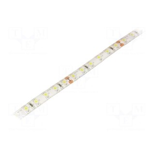 LED tape | white cold | 3528 | 12V | LED/m: 96 | W: 8mm | 120° | 7.7W/m