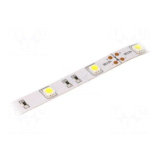 LED tape | white cold | 5050 | 12V | LED/m: 30 | W: 14.36mm | 120° | IP20