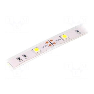 LED tape | white cold | 5050 | 12V | LED/m: 30 | 14.36mm | IP65 | 120°