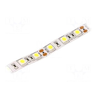 LED tape | white cold | 5050 | 12V | LED/m: 60 | 10mm | IP20 | 120° | 14.4W/m