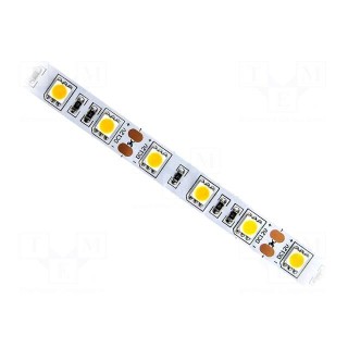 LED tape | white warm | 5050 | 24V | LED/m: 60 | 10mm | white PCB | IP20