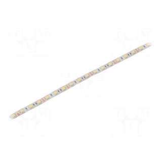 LED tape | white cold | 5050 | 12V | LED/m: 60 | 10mm | white PCB | IP64
