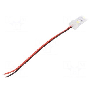LED tape | white cold | 5050 | 12V | LED/m: 60 | IP65 | 120° | 14.4W/m | 50mm