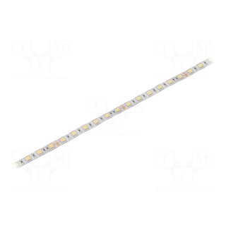 LED tape | white cold | 5050 | 24V | LED/m: 60 | 10mm | white PCB | IP64