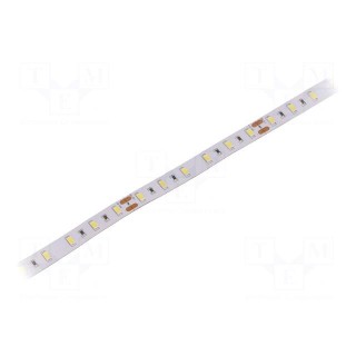 LED tape | white cold | 5630 | 24V | LED/m: 60 | 12mm | IP20 | 24W/m