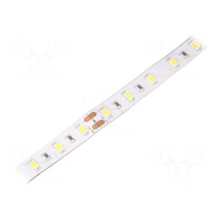 LED tape | white cold | 5630 | 24V | LED/m: 60 | 12mm | IP65 | 24W/m