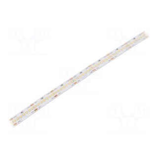 LED tape | white neutral | 2216 | 24V | LED/m: 280 | 10mm | white PCB
