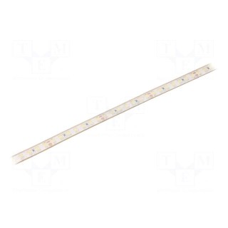 LED tape | white | 24V | LED/m: 112 | W: 10mm | 120° | IP68 | 12W/m
