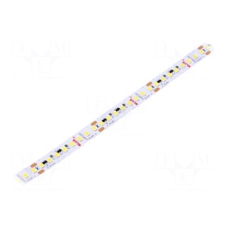 LED tape | white neutral | 24V | LED/m: 160 | 10mm | IP20 | 120° | 24W/m