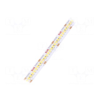 LED tape | white neutral | 24V | LED/m: 240 | 10mm | IP20 | 120° | 4.8W/m